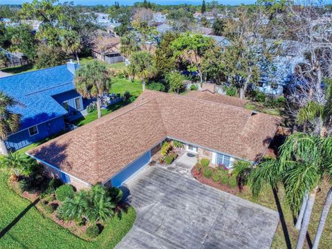 A home in NEW SMYRNA BEACH