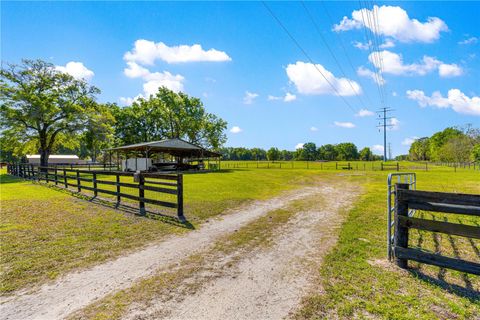 Tiny photo for 2940 NE 49th Street, Ocala, FL 34479 (MLS # OM721844)