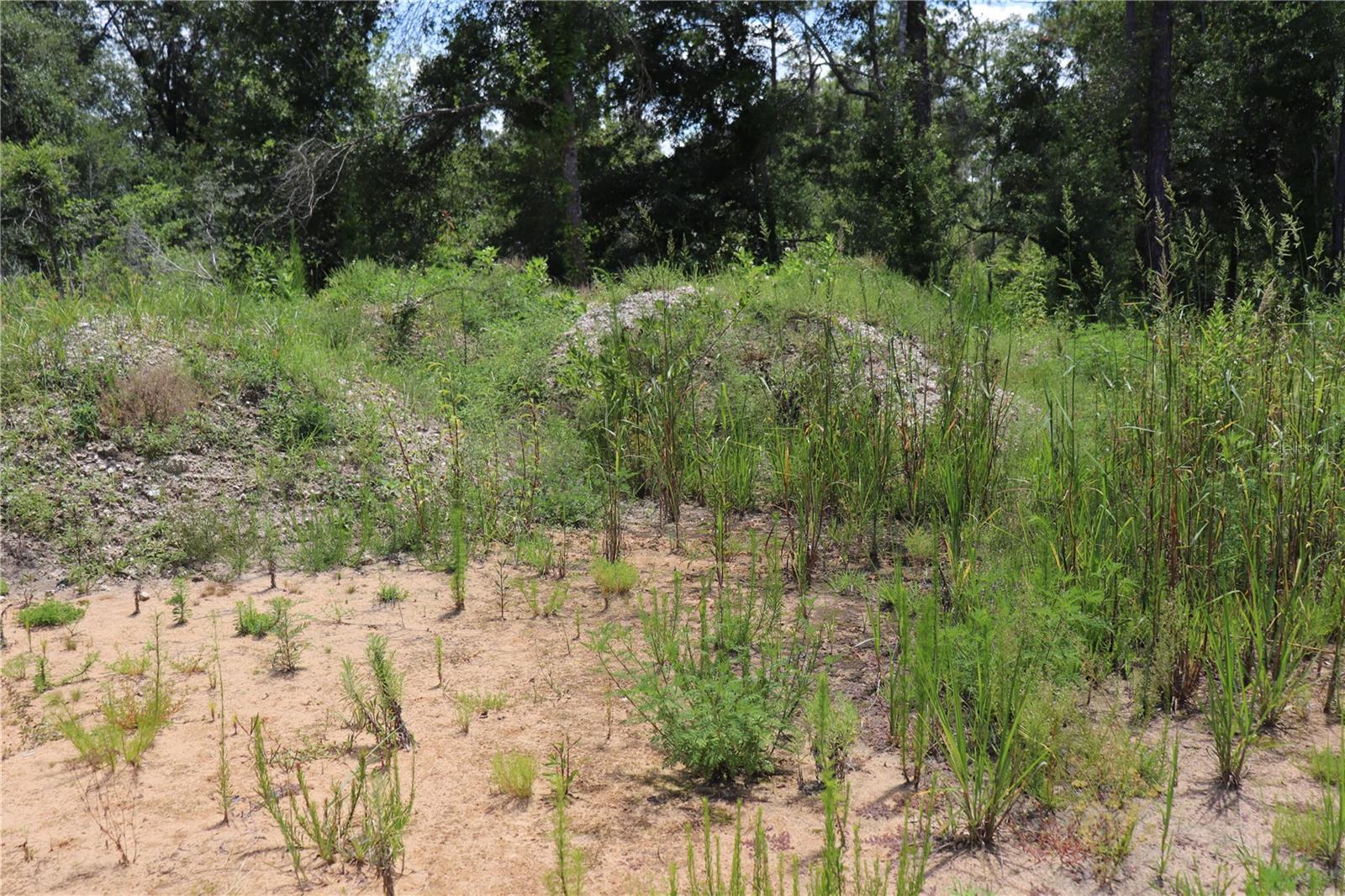 RIDGE MANOR ESTATE - Land