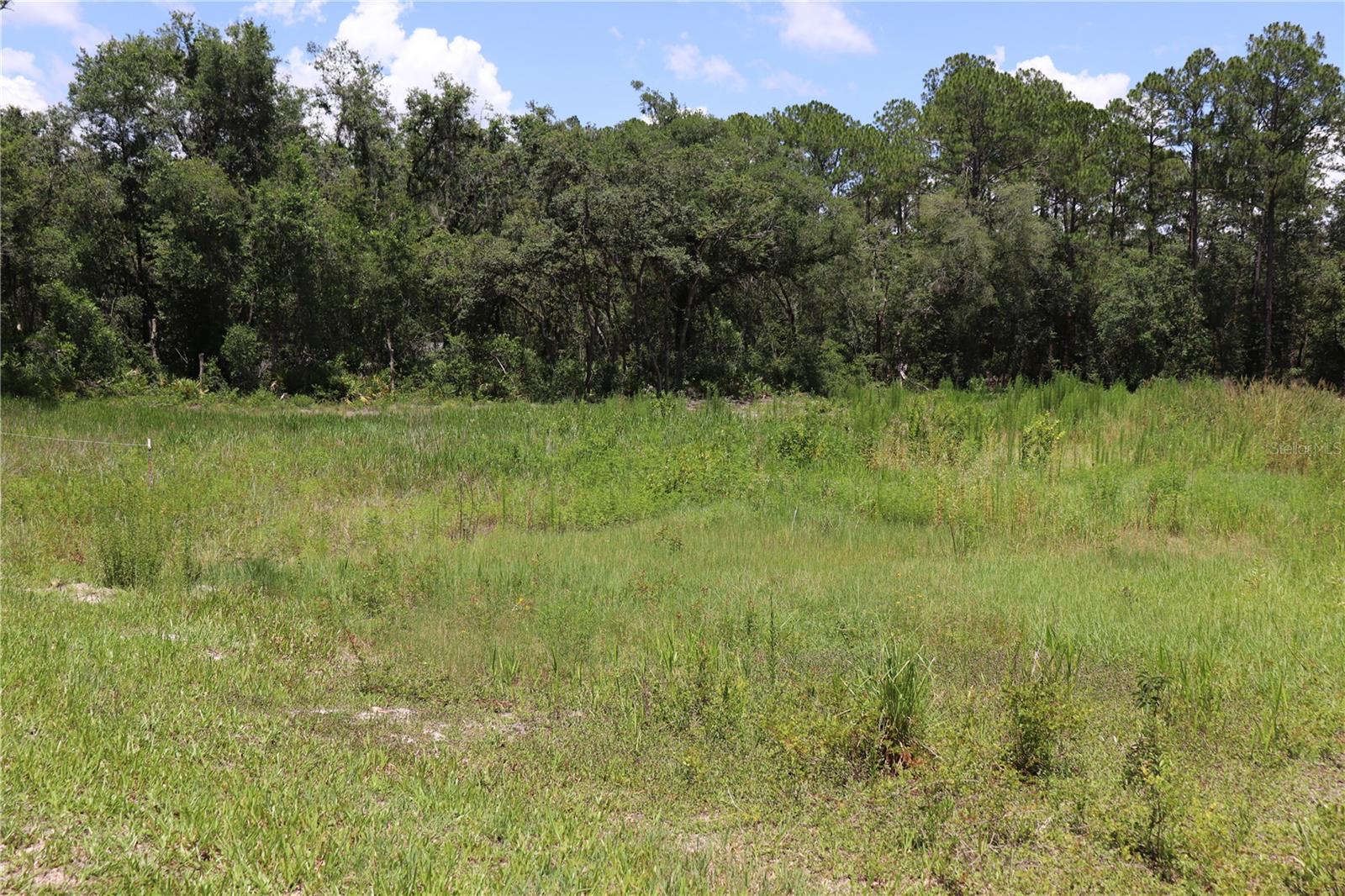 RIDGE MANOR ESTATE - Land