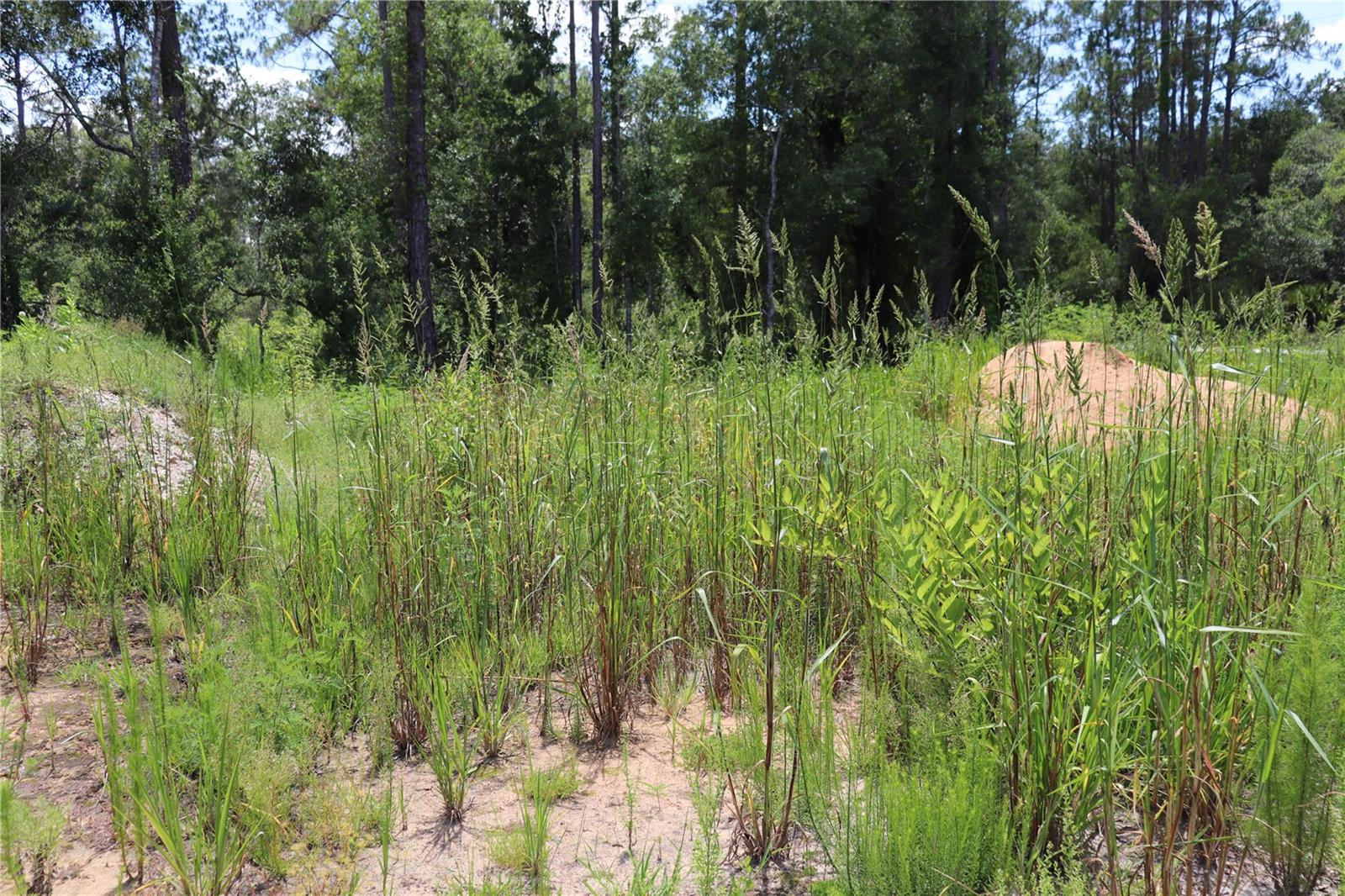 RIDGE MANOR ESTATE - Land