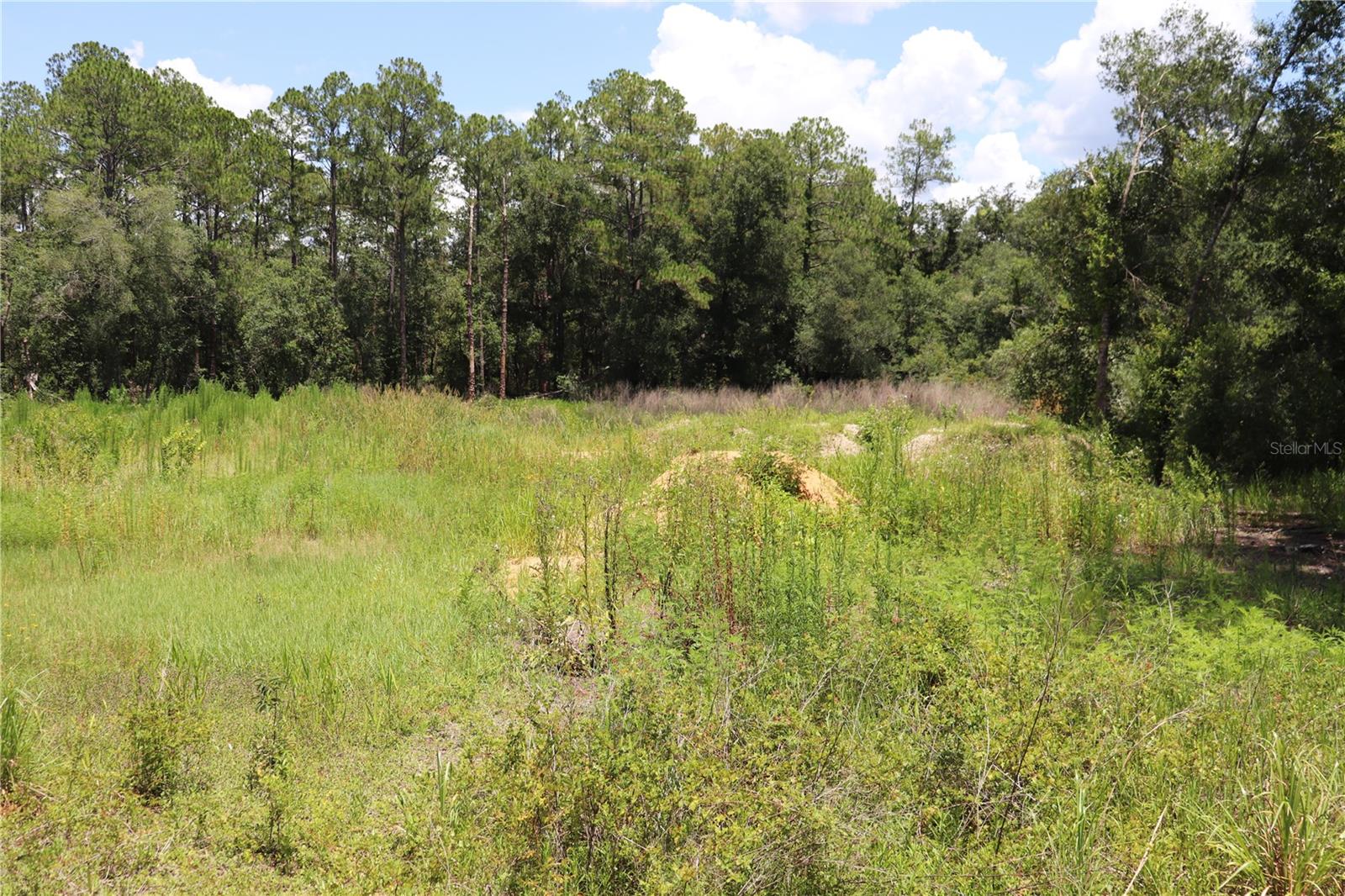 BUILD YOUR DREAM HOME ON THIS BEAUTIFUL .43-ACRE (MOL) PROPERTY JUST OFF TREIMAN BLVD/301 IN THE HIGHLY DESIRABLE RIDGE MANOR ESTATES AREA. ZONED R1C FOR SINGLE-FAMILY HOME USE ONLY. NO HOA OR CDD FEES. PEACFUL COUNTRY LIVING AT ITS BEST WITH HUNTING, CAMPING, BOATING & FISHING CLOSE BY, BUT ALSO WITHIN MINUTES OF HOSPITALS, RESTAURANTS, THEATERS & SHOPPING. 17 MINUTES TO I-75 AND THE WALMART DISTRIBUTION CENTER. FILL DIRT HAS BEEN BROUGHT IN, GRADED & EXTRA FILL DIRT IS READY FOR THE NEW OWNER. BUILD YOUR HOME ON THIS PROPERTY NOW BEFORE IT'S TOO LATE!