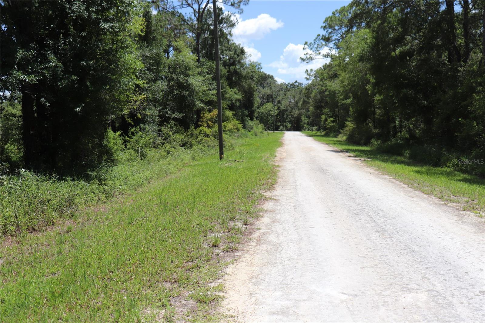 RIDGE MANOR ESTATE - Land