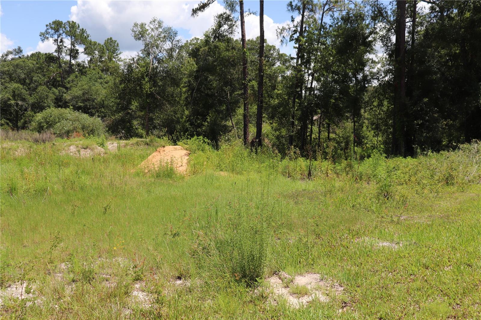 RIDGE MANOR ESTATE - Land