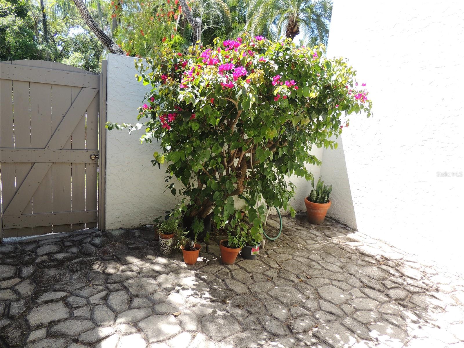 WILDEWOOD SPGS II-C - Residential