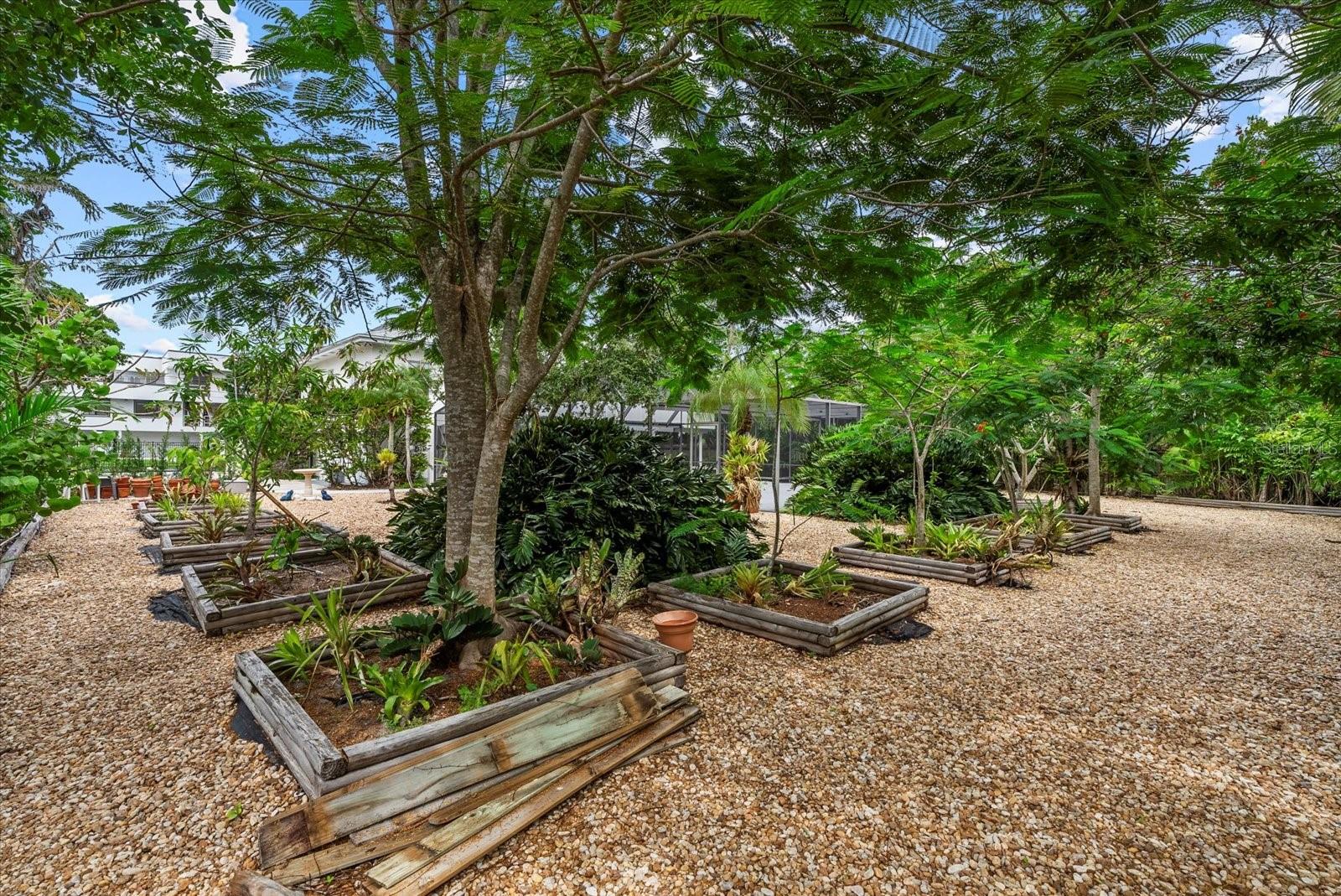 BAY ISLAND - Residential