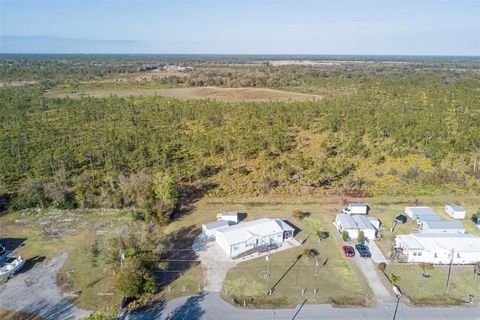 Photo of 11307 SW Welch Avenue, Arcadia, FL 34269 (MLS # C7523204)