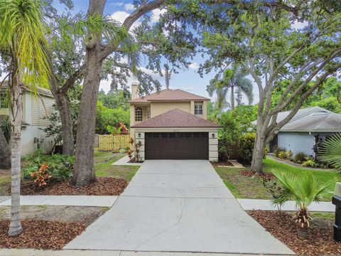 3673 FREMANTLE DRIVE PALM HARBOR FL 34684