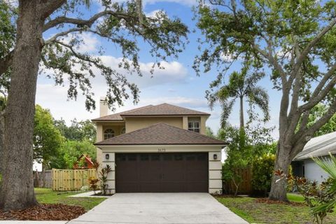 3673 FREMANTLE DRIVE PALM HARBOR FL 34684