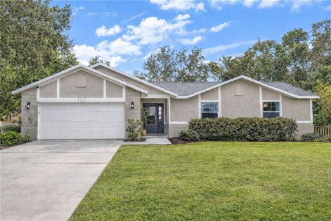 3137 LOBLOLLY STREET DELTONA FL 32725