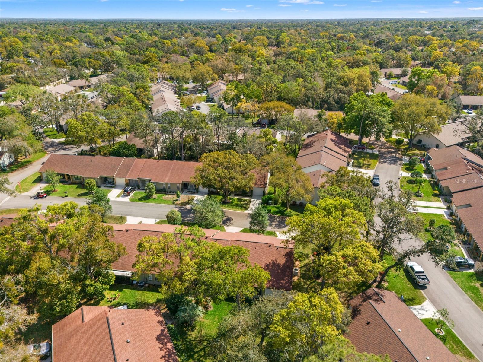 TIMBER PINES - Residential