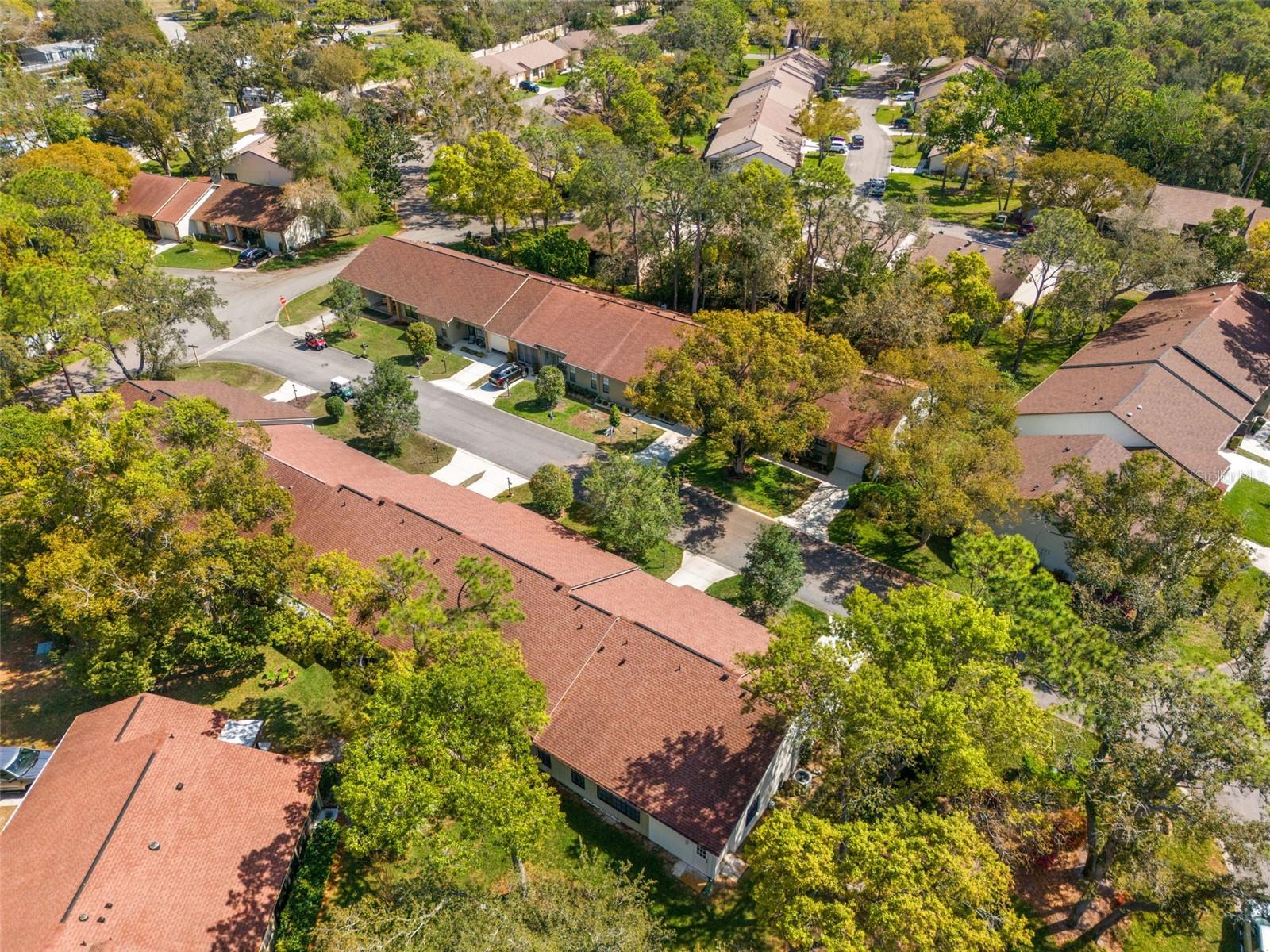 TIMBER PINES - Residential