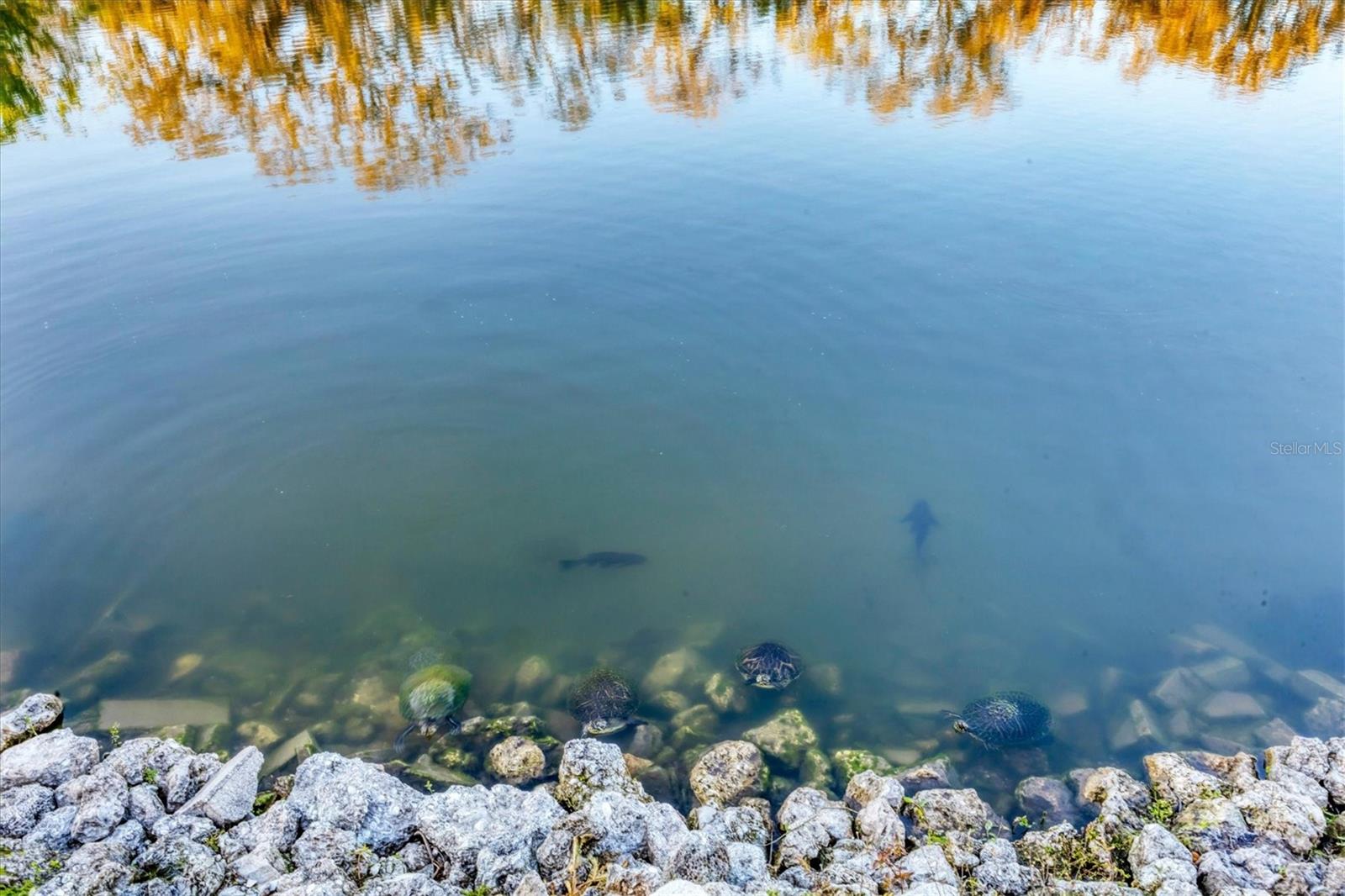 DE SOTO COMMUNITY UNIT ONE - Residential