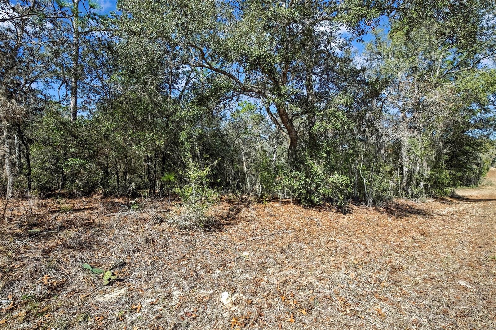 3292 N ANNAPOLIS AVENUE