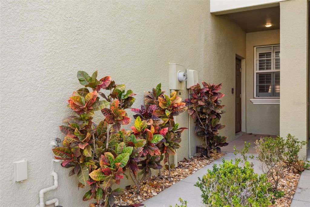 Photo of 9568 Trumpet Vine Loop, Trinity, FL 34655 (MLS # TB8452953)