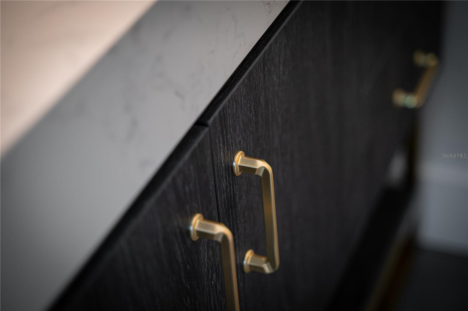 EDEN ISLE CONDO OF ST PETERSBURG - Residential