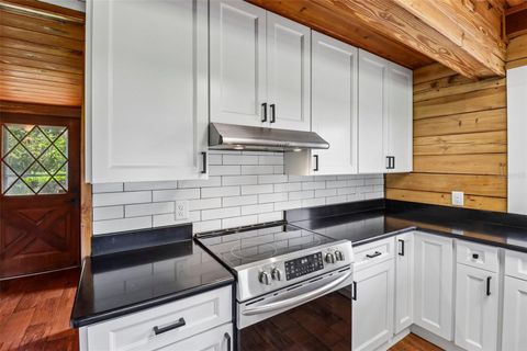 Tiny photo for 15551 Vinola Court, Montverde, FL 34756 (MLS # O6424074)