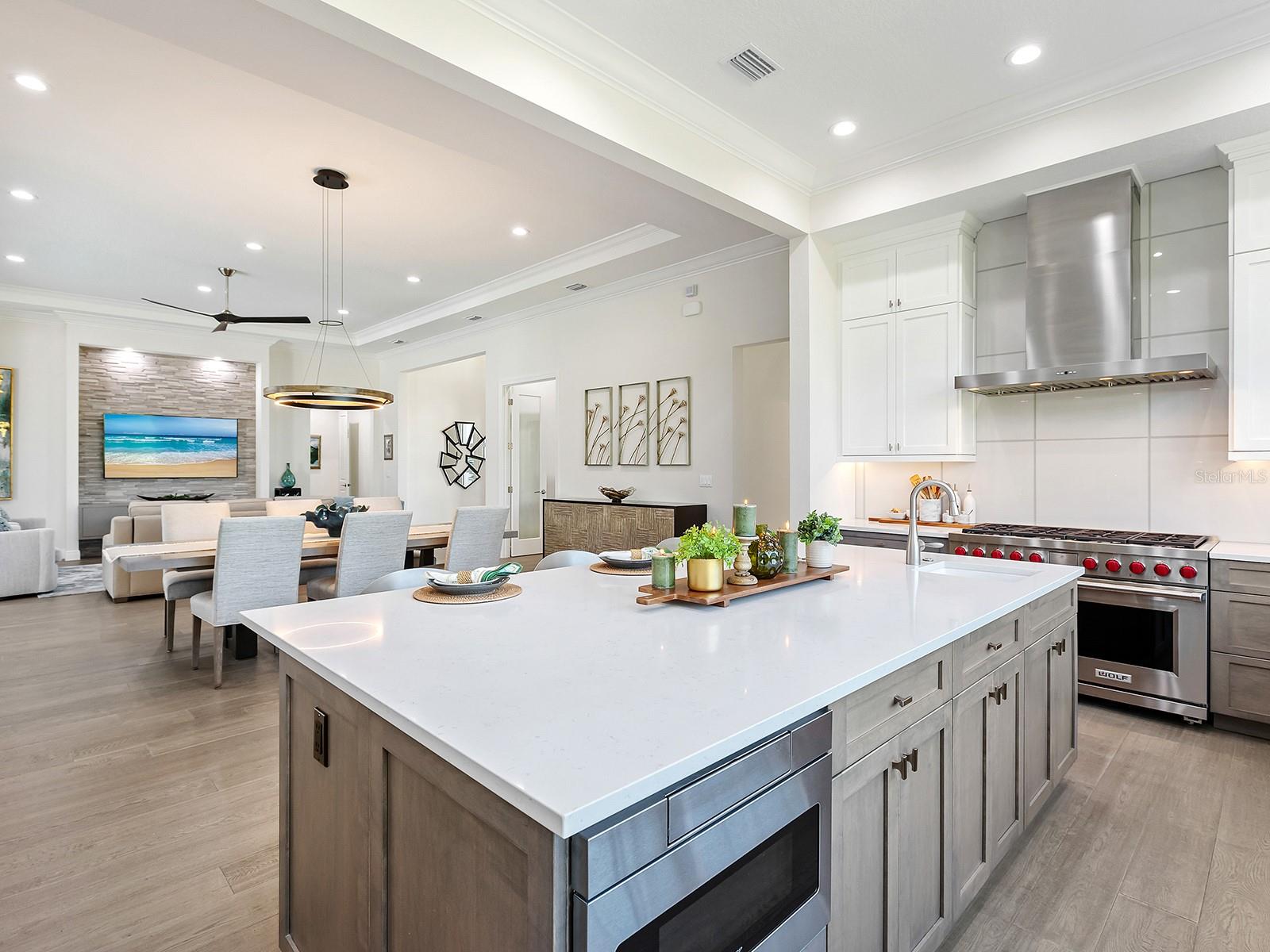 SKYE RANCH - Residential