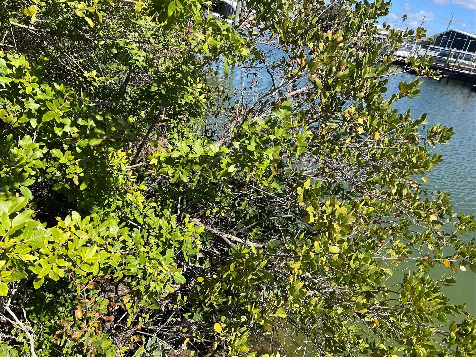 GULF COAST RET - Land