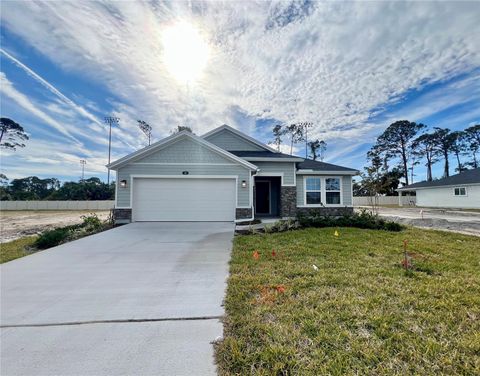 A home in FLAGLER BEACH