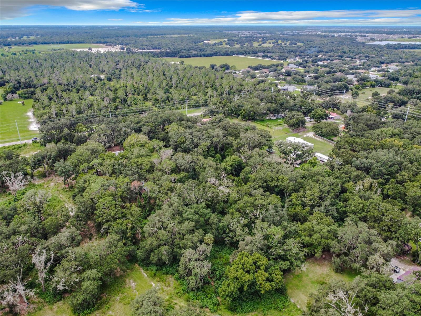 16206 BOYETTE ROAD
