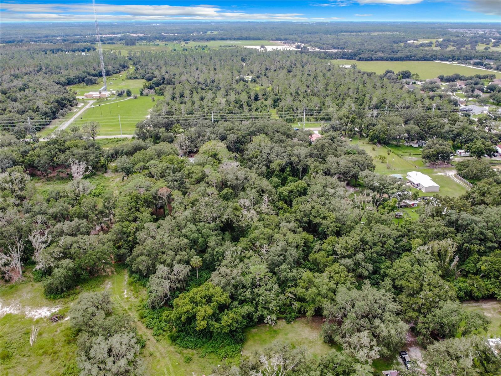 16206 BOYETTE ROAD
