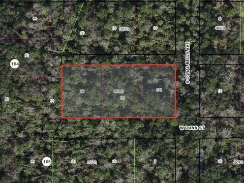 W DUNN HOMOSASSA FL 34448