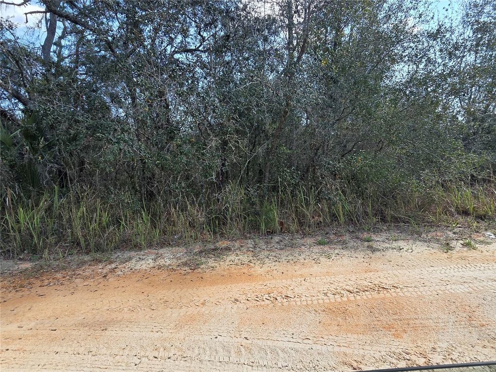 Photo of S 7th Street, Deland, FL 32724 (MLS # V4947846)