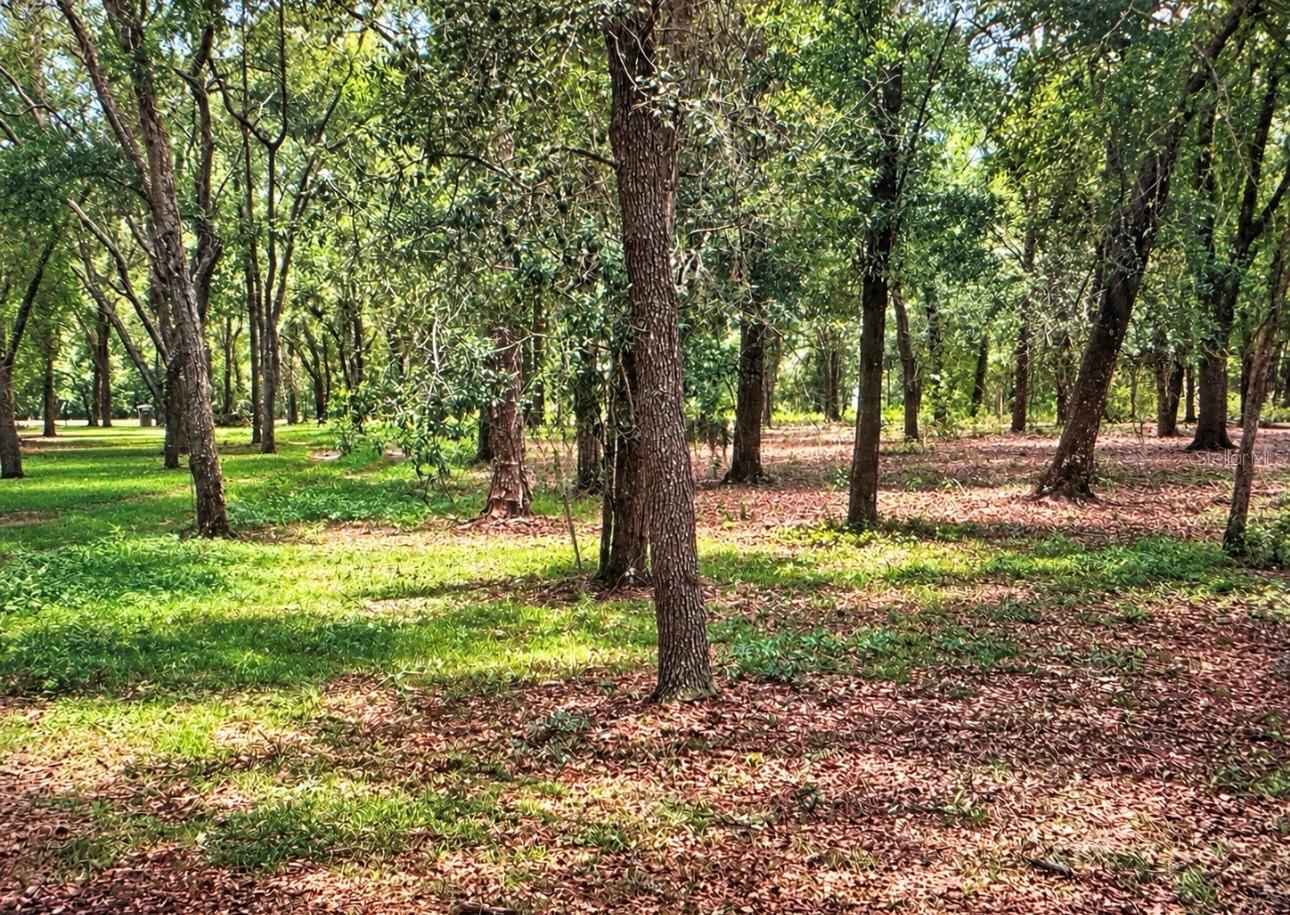 ROLLING ACRES ROAD