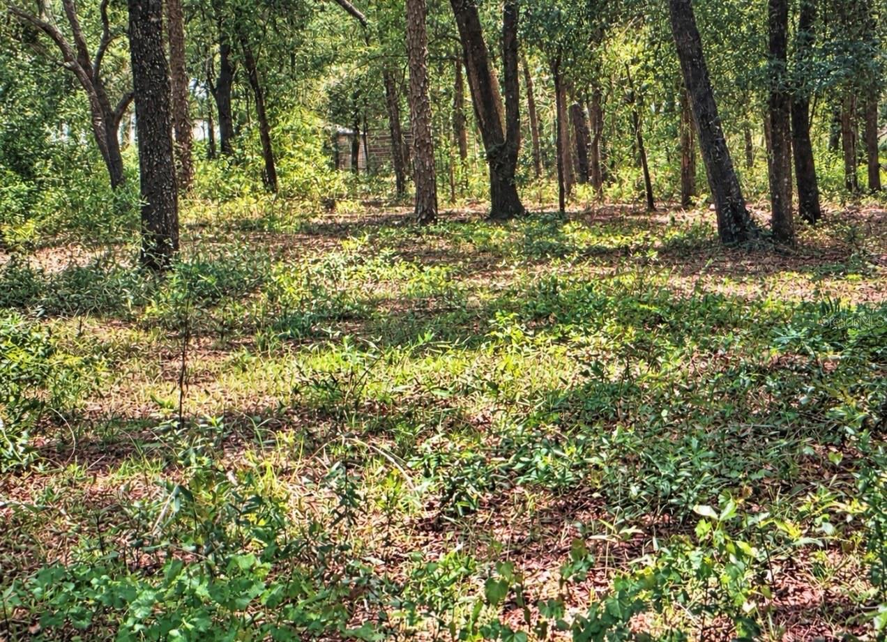ROLLING ACRES ROAD