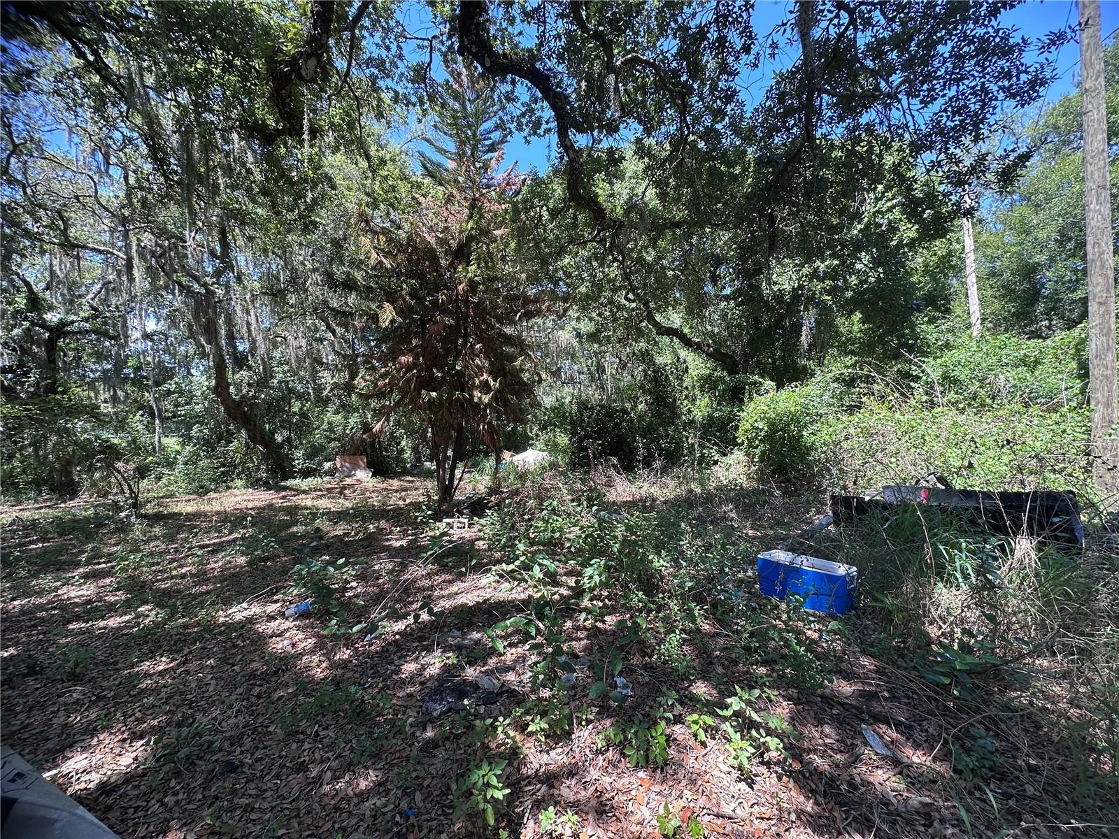 ACREAGE & UNREC - Residential