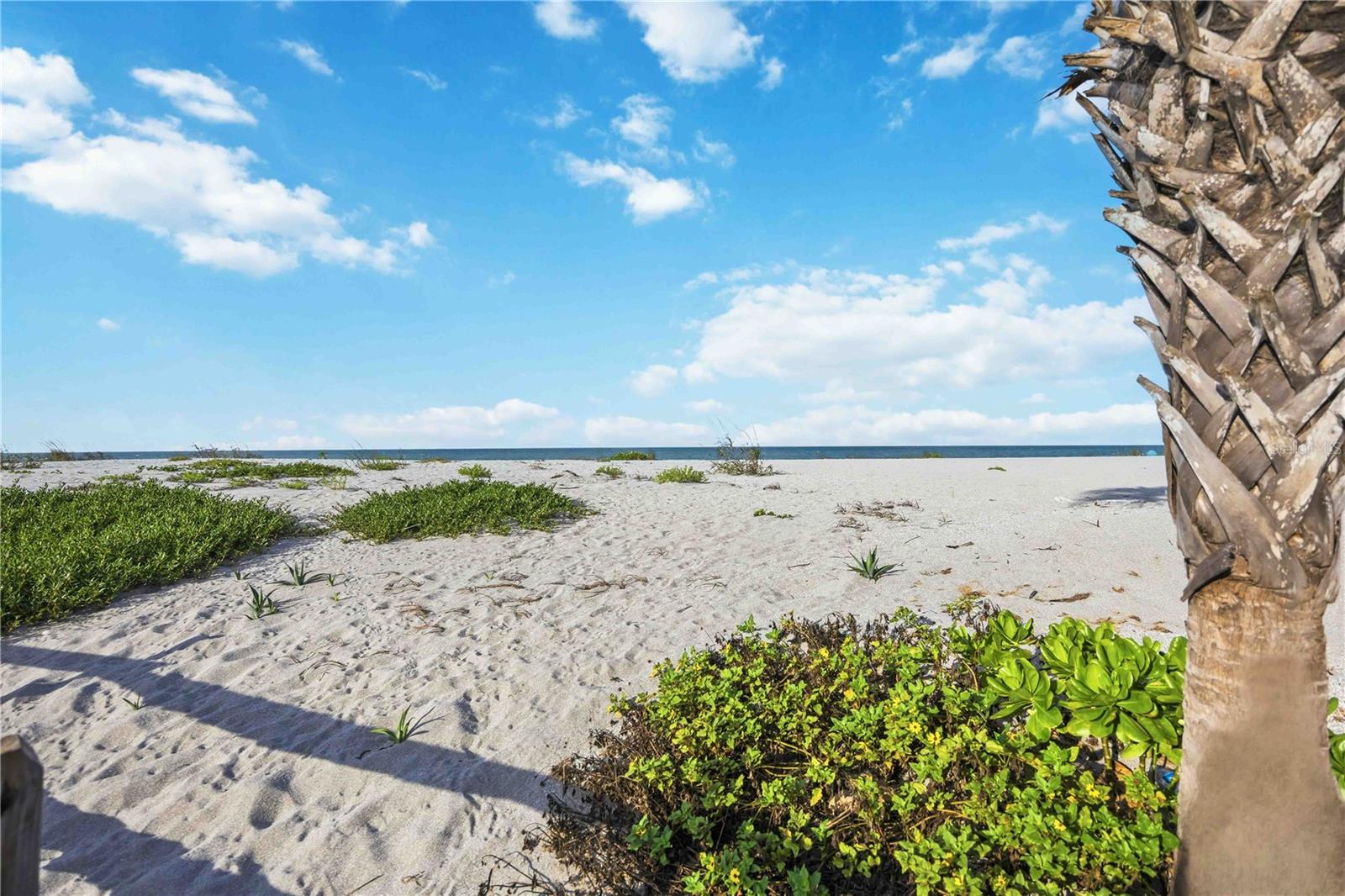 ALDEA MAR - Residential