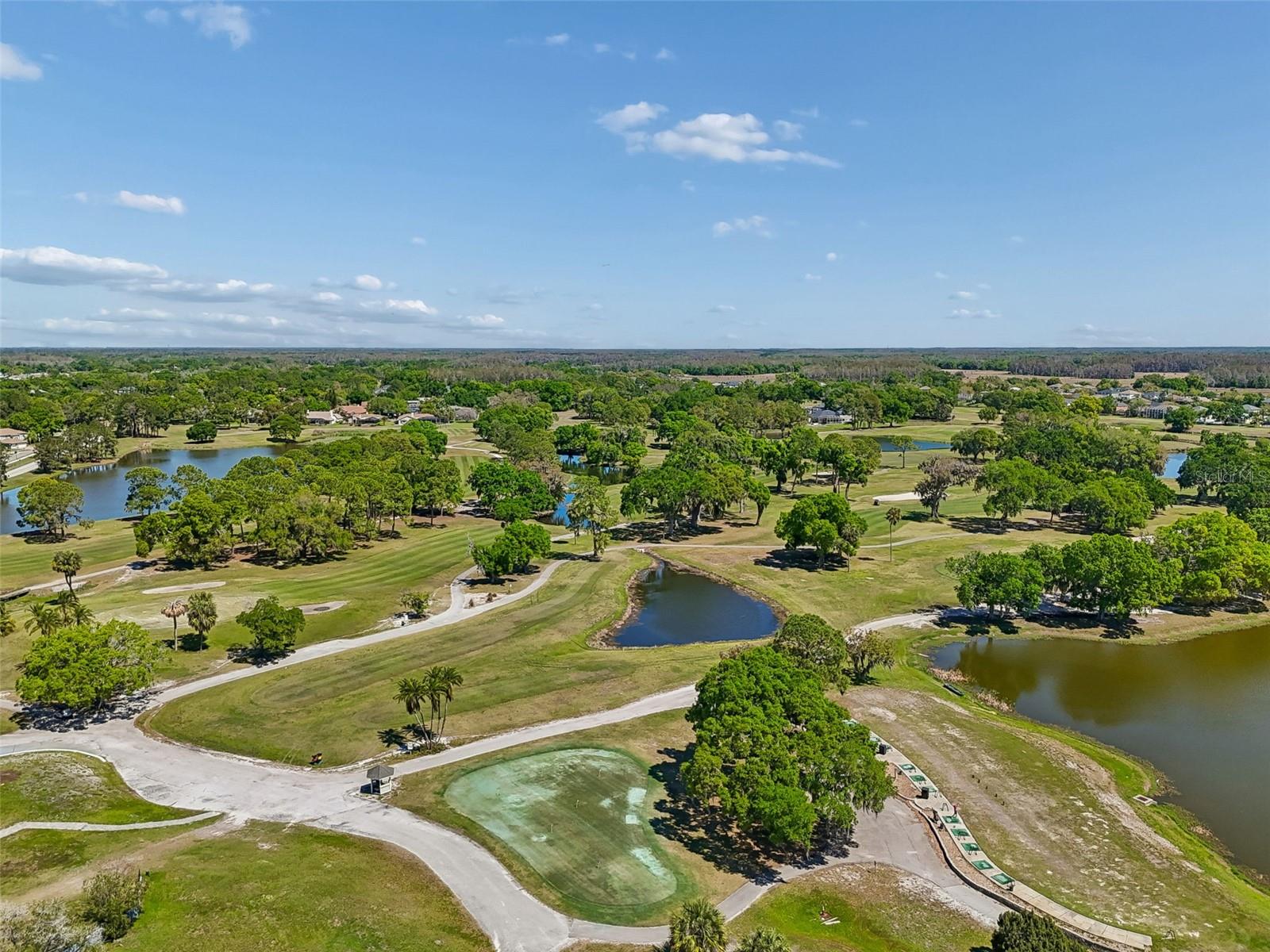 WINDSOR PARK AT THE EAGLES-FI - Residential