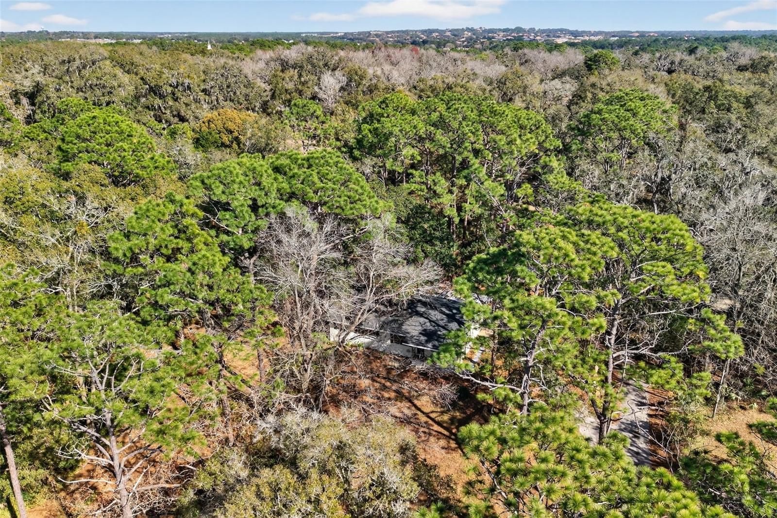 CRYSTAL RIVER CTRY ESTATES - Residential