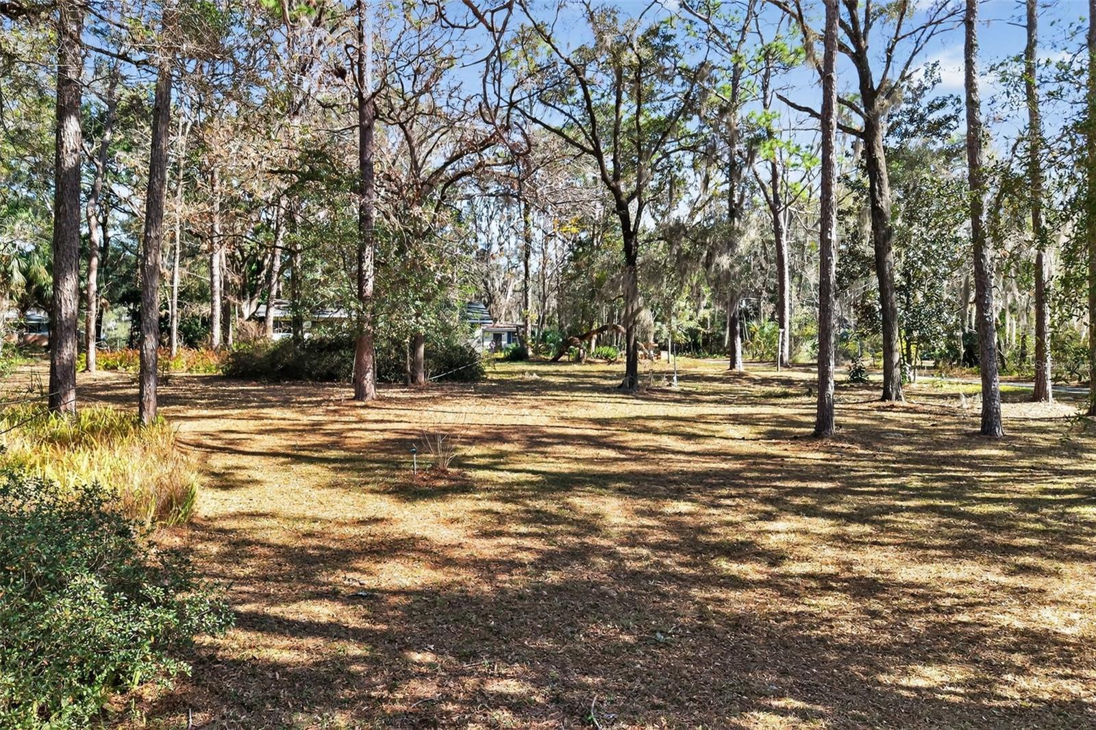 CRYSTAL RIVER CTRY ESTATES - Residential