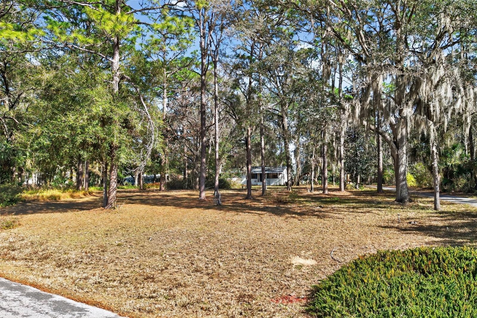 CRYSTAL RIVER CTRY ESTATES - Residential