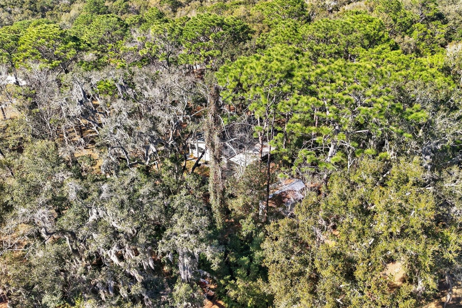 CRYSTAL RIVER CTRY ESTATES - Residential