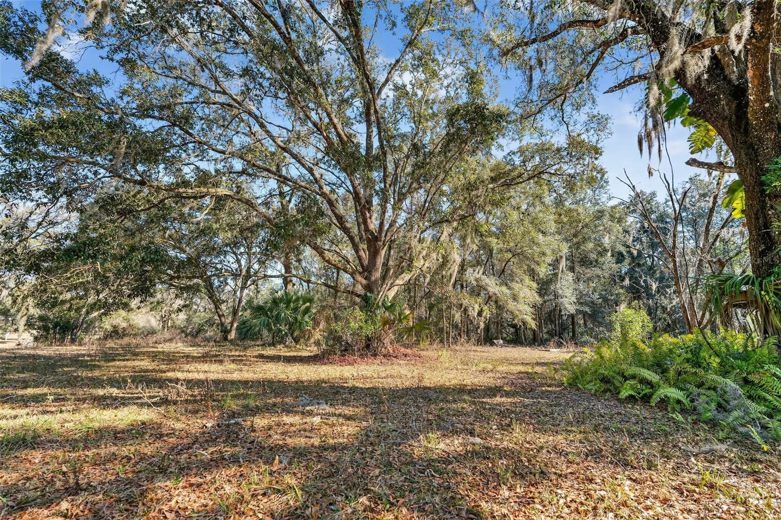 CRYSTAL RIVER CTRY ESTATES - Residential