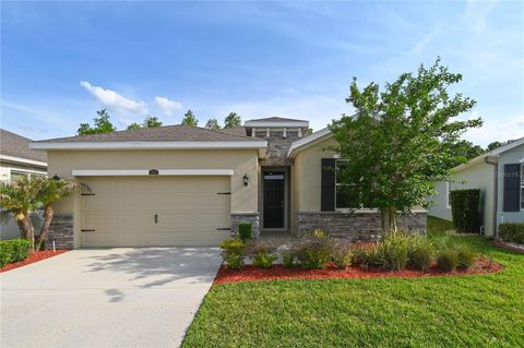 Photo of 1052 Manzanar Place, Wesley Chapel, FL 33543 (MLS # TB8504460)