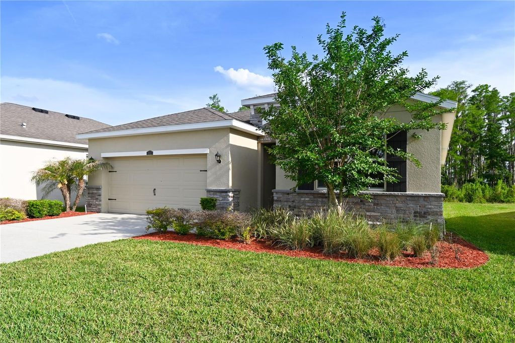 Photo of 1052 Manzanar Place, Wesley Chapel, FL 33543 (MLS # TB8504460)