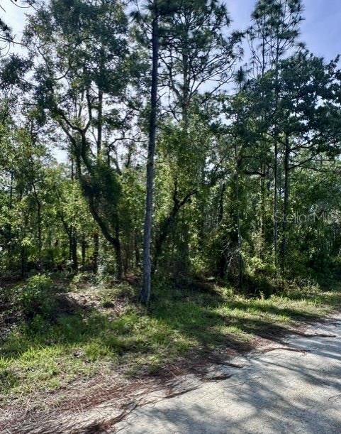 Photo of Macek Road, Weeki Wachee, FL 34614 (MLS # TB8513589)