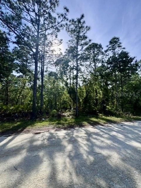 Photo of Macek Road, Weeki Wachee, FL 34614 (MLS # TB8513589)