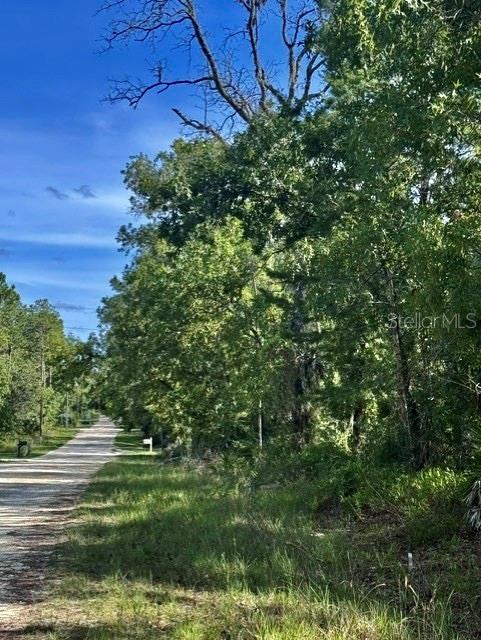 Photo of Macek Road, Weeki Wachee, FL 34614 (MLS # TB8513589)