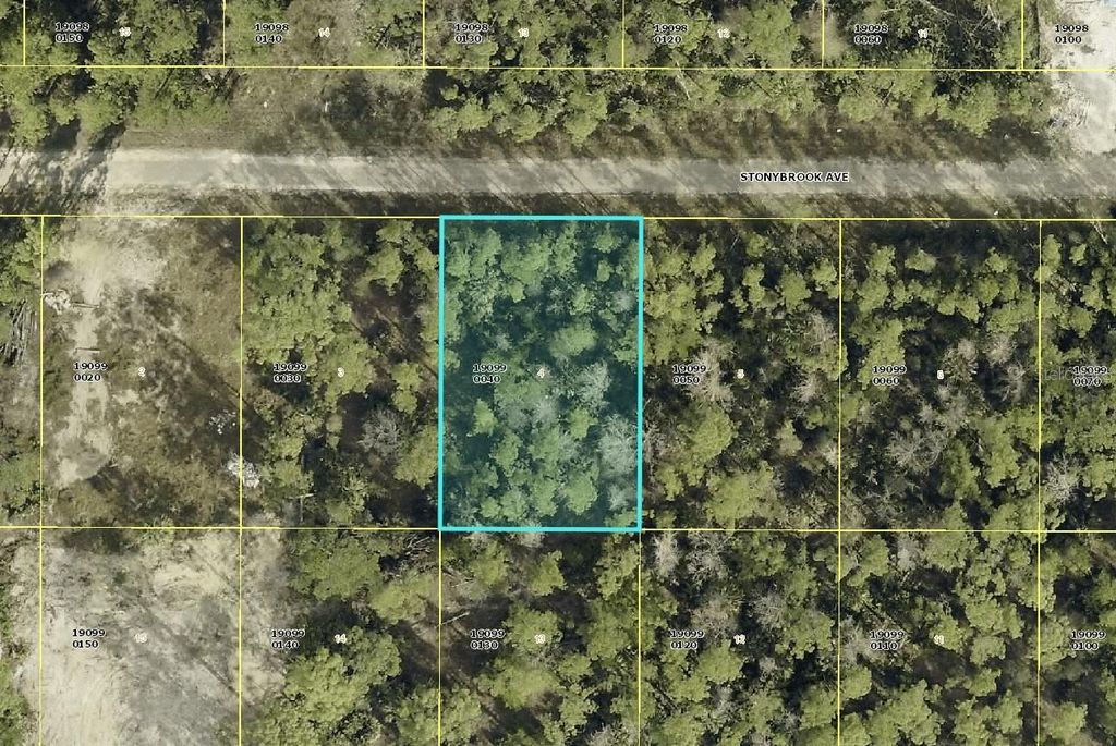 Photo of 309 Stonybrook Avenue, Lehigh Acres, FL 33972 (MLS # C7514341)