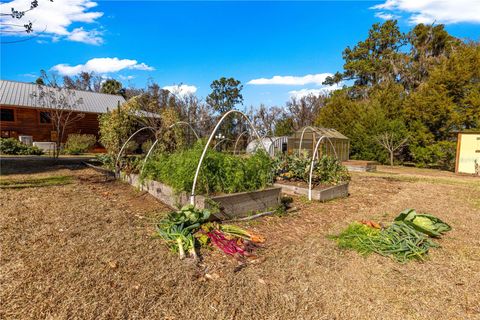 Tiny photo for 9145 NW 193 Street, Micanopy, FL 32667 (MLS # OM717366)