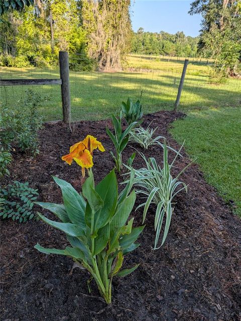 Tiny photo for 9145 NW 193 Street, Micanopy, FL 32667 (MLS # OM717366)