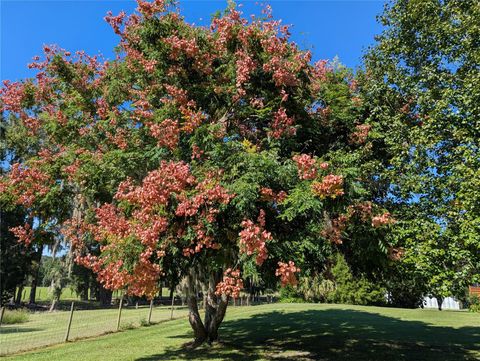 Tiny photo for 9145 NW 193 Street, Micanopy, FL 32667 (MLS # OM717366)