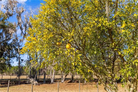 Tiny photo for 9145 NW 193 Street, Micanopy, FL 32667 (MLS # OM717366)