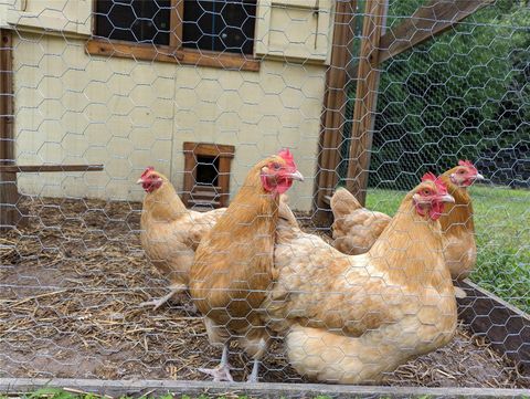 Tiny photo for 9145 NW 193 Street, Micanopy, FL 32667 (MLS # OM717366)