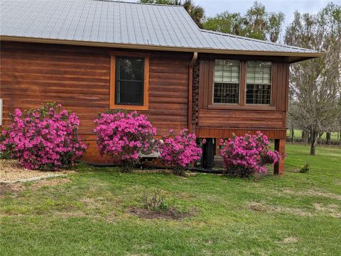 Tiny photo for 9145 NW 193 Street, Micanopy, FL 32667 (MLS # OM717366)